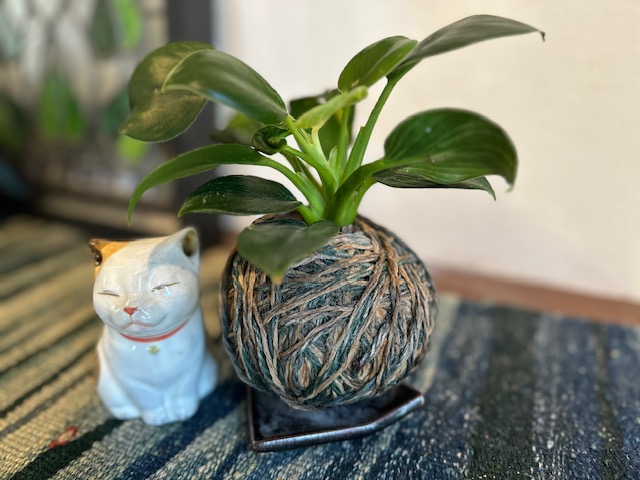 物販 毛糸の苔玉１